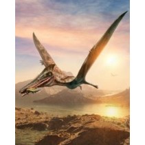 Fototapety na ścianę Pterosaur scene 3D illustration