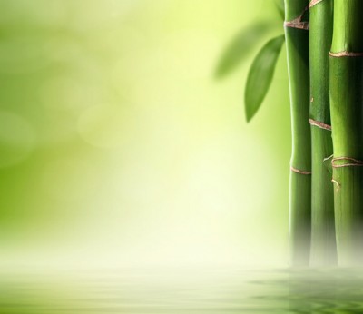 Green bamboo #84266216